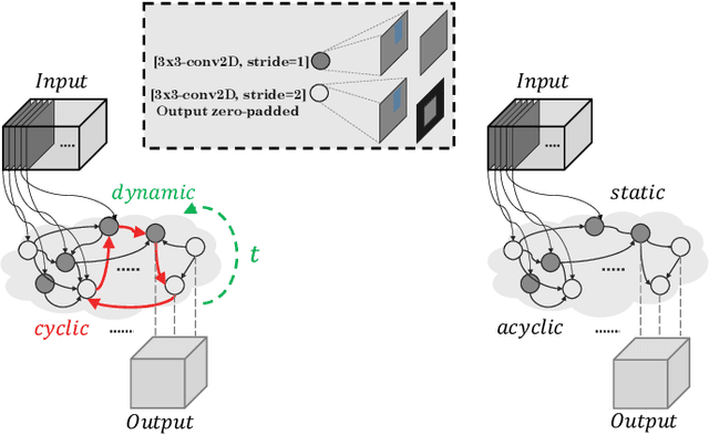 Figure 3 for Discovering Neural Wirings