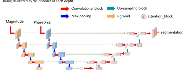 Figure 1 for Automated Multi-Channel Segmentation for the 4D Myocardial Velocity Mapping Cardiac MR