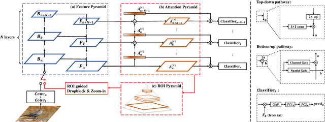 Figure 3 for Weakly Supervised Attention Pyramid Convolutional Neural Network for Fine-Grained Visual Classification