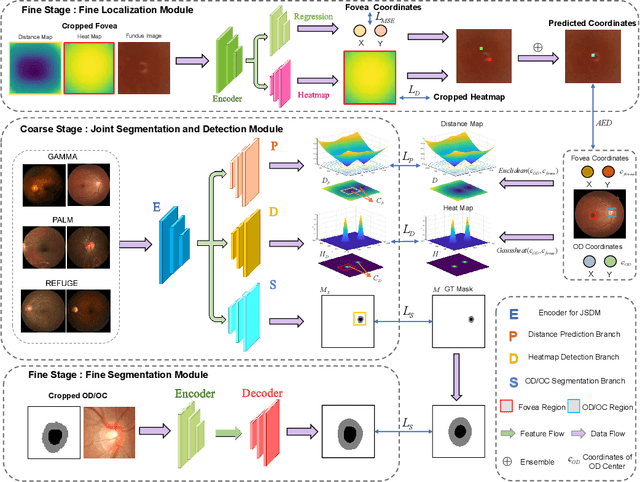 Figure 1 for JOINED : Prior Guided Multi-task Learning for Joint Optic Disc/Cup Segmentation and Fovea Detection