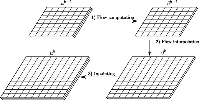 Figure 2 for On Variational Methods for Motion Compensated Inpainting
