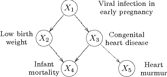 Figure 1 for A theoretical study of Y structures for causal discovery