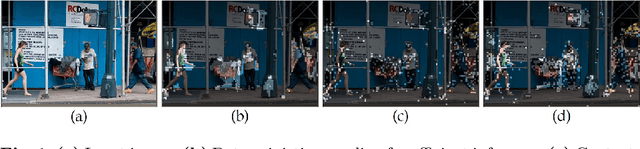 Figure 1 for Spatially Adaptive Inference with Stochastic Feature Sampling and Interpolation