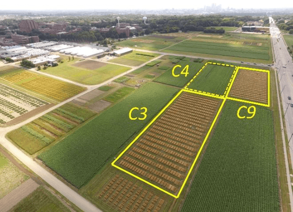 Figure 1 for Aerial hyperspectral imagery and deep neural networks for high-throughput yield phenotyping in wheat