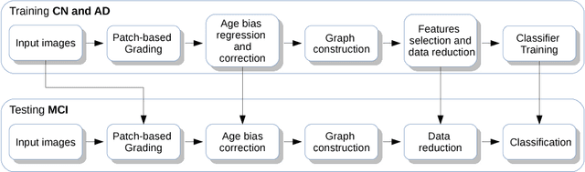 Figure 3 for Graph of brain structures grading for early detection of Alzheimer's disease