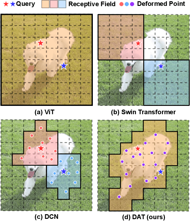 Figure 1 for Vision Transformer with Deformable Attention