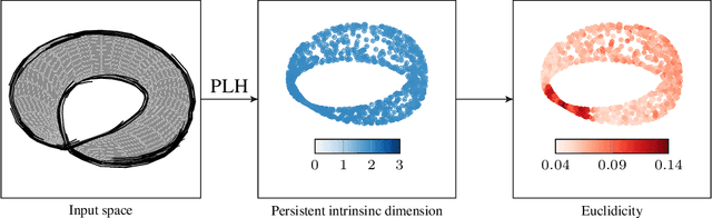 Figure 1 for TOAST: Topological Algorithm for Singularity Tracking