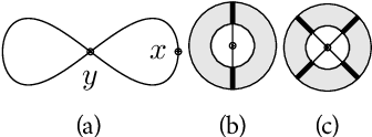 Figure 2 for TOAST: Topological Algorithm for Singularity Tracking