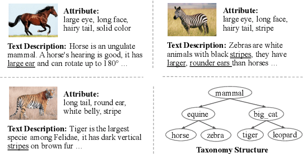 Figure 1 for Generative Adversarial Zero-shot Learning via Knowledge Graphs