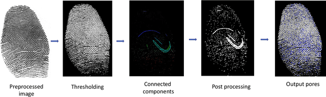 Figure 1 for End-to-End Pore Extraction and Matching in Latent Fingerprints: Going Beyond Minutiae