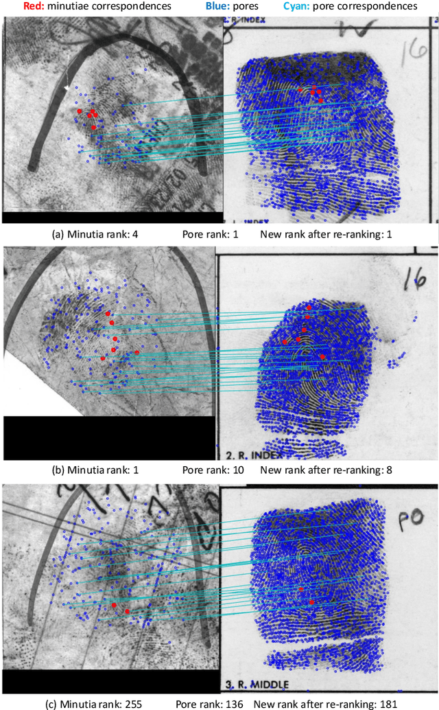 Figure 2 for End-to-End Pore Extraction and Matching in Latent Fingerprints: Going Beyond Minutiae