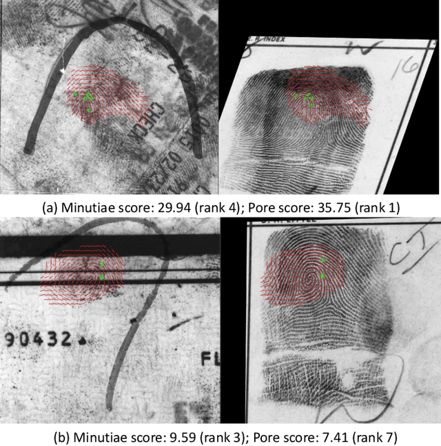Figure 4 for End-to-End Pore Extraction and Matching in Latent Fingerprints: Going Beyond Minutiae