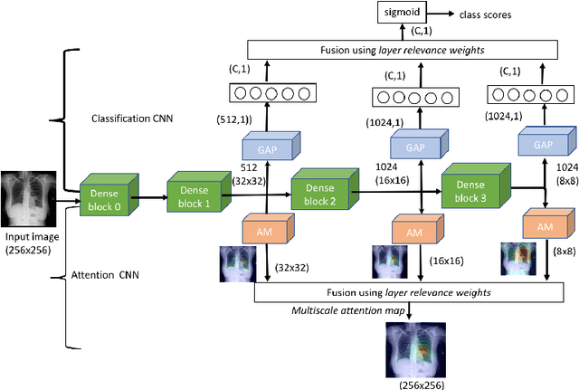 Figure 1 for Deep multiscale convolutional feature learning for weakly supervised localization of chest pathologies in X-ray images