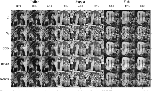 Figure 1 for Geodesic Gramian Denoising Applied to the Images Contaminated With Noise Sampled From Diverse Probability Distributions