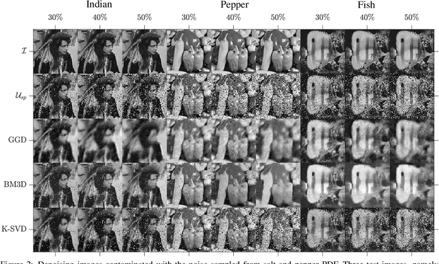 Figure 3 for Geodesic Gramian Denoising Applied to the Images Contaminated With Noise Sampled From Diverse Probability Distributions