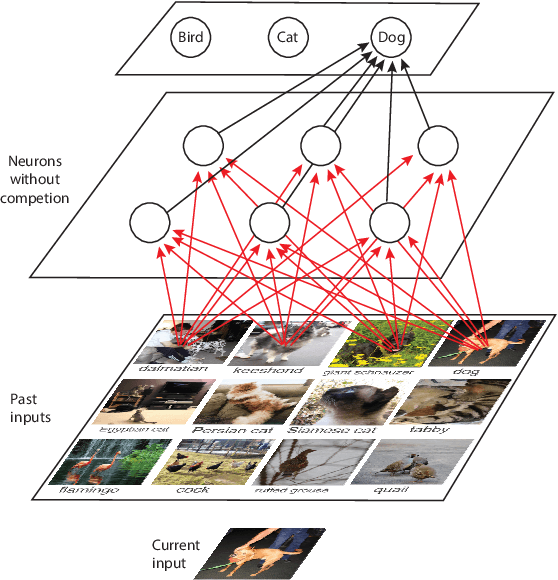 Figure 1 for Post Selections Using Test Sets (PSUTS) and How Developmental Networks Avoid Them