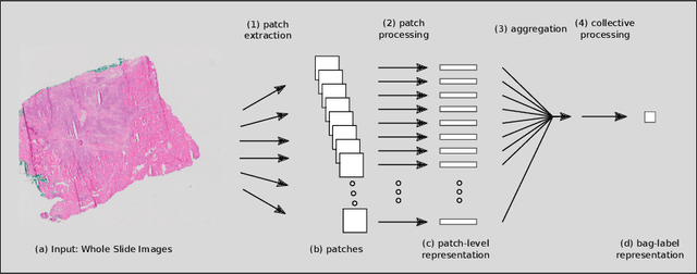 Figure 2 for Multiple Instance Learning for Digital Pathology: A Review on the State-of-the-Art, Limitations & Future Potential