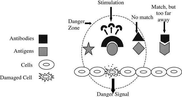 Figure 1 for The Danger Theory and Its Application to Artificial Immune Systems