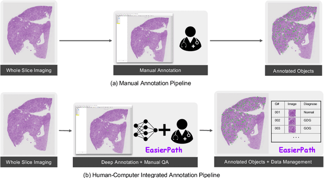 Figure 1 for EasierPath: An Open-source Tool for Human-in-the-loop Deep Learning of Renal Pathology
