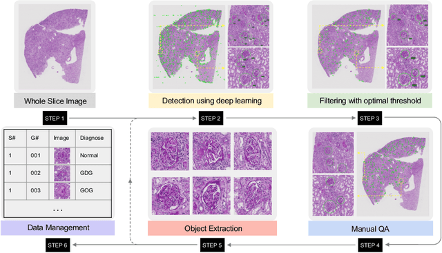 Figure 2 for EasierPath: An Open-source Tool for Human-in-the-loop Deep Learning of Renal Pathology