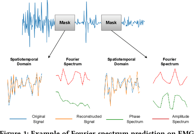 Figure 1 for neuro2vec: Masked Fourier Spectrum Prediction for Neurophysiological Representation Learning