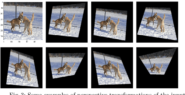 Figure 4 for Image Captioning using Deep Stacked LSTMs, Contextual Word Embeddings and Data Augmentation