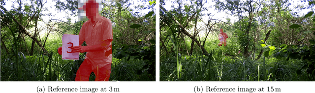 Figure 3 for Overcoming the Distance Estimation Bottleneck in Camera Trap Distance Sampling