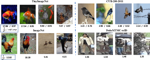 Figure 4 for Prime-Aware Adaptive Distillation
