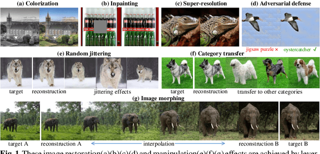 Figure 1 for Exploiting Deep Generative Prior for Versatile Image Restoration and Manipulation