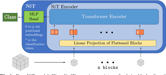 Figure 1 for Multiple Instance Neuroimage Transformer