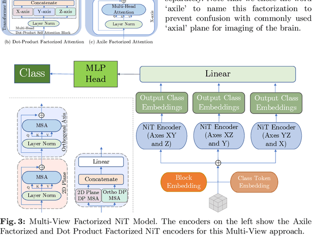 Figure 4 for Multiple Instance Neuroimage Transformer