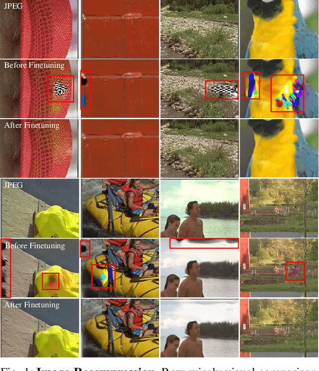 Figure 1 for Towards Robust Neural Image Compression: Adversarial Attack and Model Finetuning