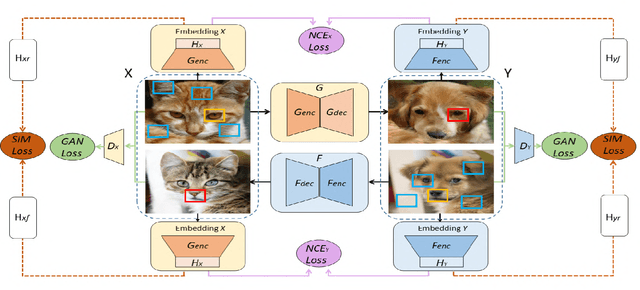 Figure 1 for Dual Contrastive Learning for Unsupervised Image-to-Image Translation