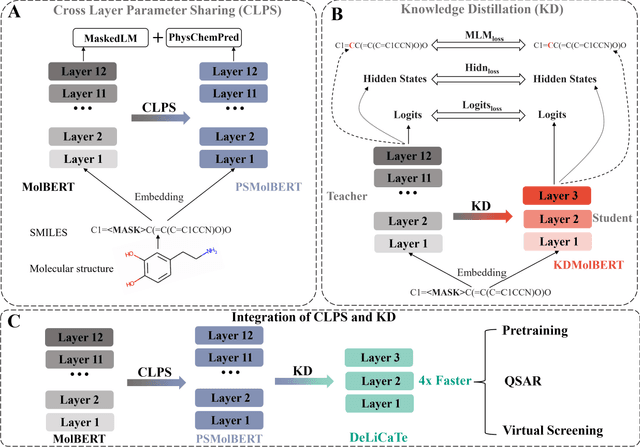 Figure 1 for Chemical transformer compression for accelerating both training and inference of molecular modeling