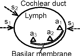 Figure 3 for A Unified Quantitative Model of Vision and Audition