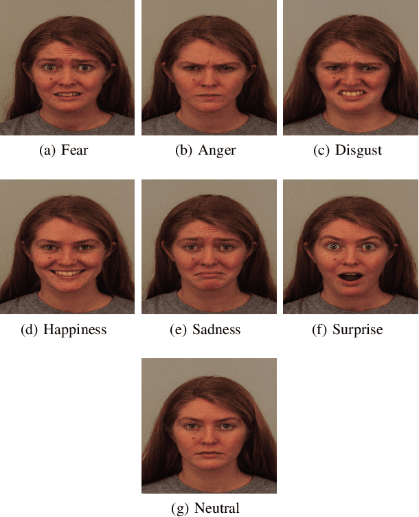 Figure 1 for Facial Expression Recognition using Facial Landmark Detection and Feature Extraction via Neural Networks