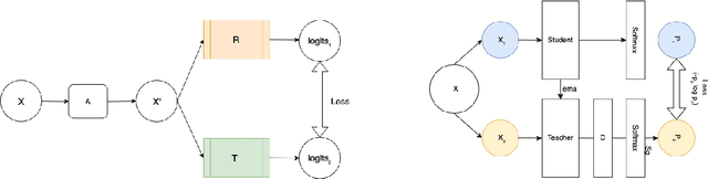 Figure 1 for CASS: Cross Architectural Self-Supervision for Medical Image Analysis