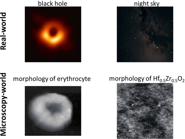 Figure 1 for Microscopy is All You Need