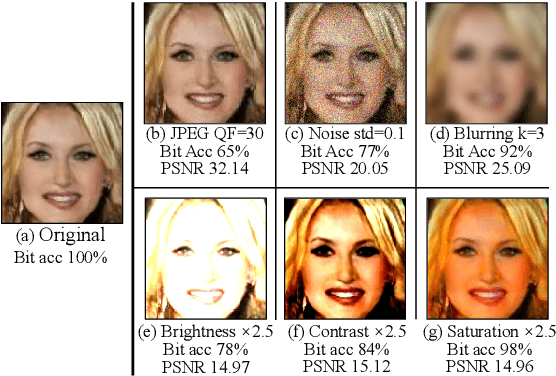 Figure 4 for Supervised GAN Watermarking for Intellectual Property Protection