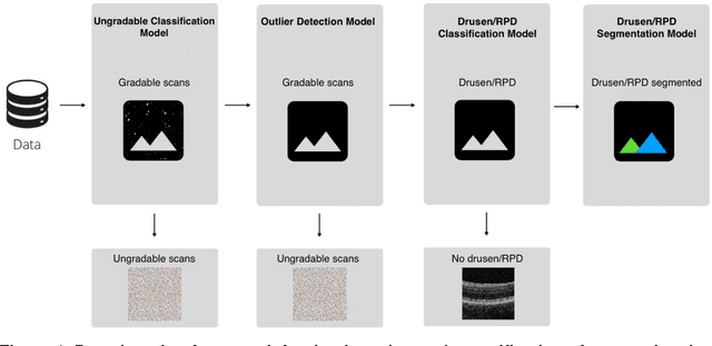Figure 1 for A deep learning framework for the detection and quantification of drusen and reticular pseudodrusen on optical coherence tomography