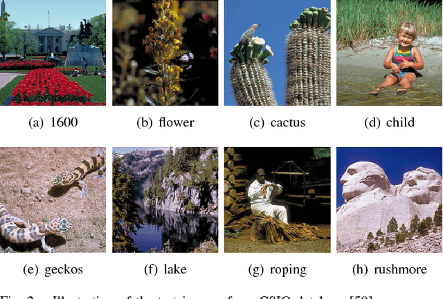 Figure 2 for Globally Variance-Constrained Sparse Representation and Its Application in Image Set Coding