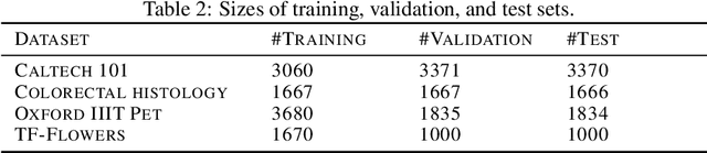 Figure 4 for Learning Effective Loss Functions Efficiently