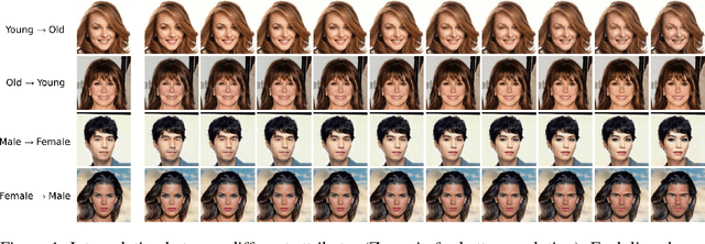 Figure 1 for Fader Networks: Manipulating Images by Sliding Attributes