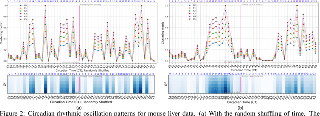 Figure 2 for PRIME: Uncovering Circadian Oscillation Patterns and Associations with AD in Untimed Genome-wide Gene Expression across Multiple Brain Regions