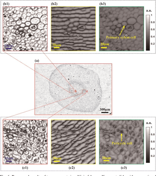 Figure 3 for Robust full-pose-parameter estimation for the LED array in Fourier ptychographic microscopy
