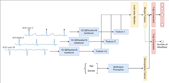 Figure 3 for Enhancing Deep Learning-based 3-lead ECG Classification with Heartbeat Counting and Demographic Data Integration