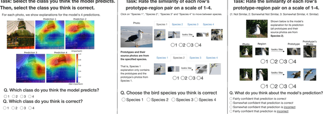 Figure 4 for HIVE: Evaluating the Human Interpretability of Visual Explanations