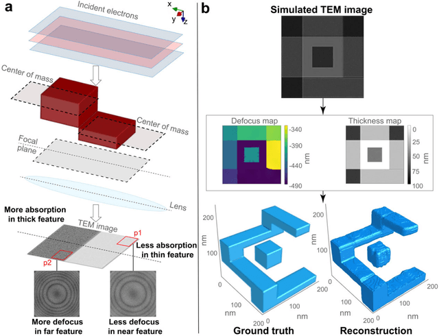 Figure 1 for Single-shot pop-out 3D metrology of thin specimens with TEM