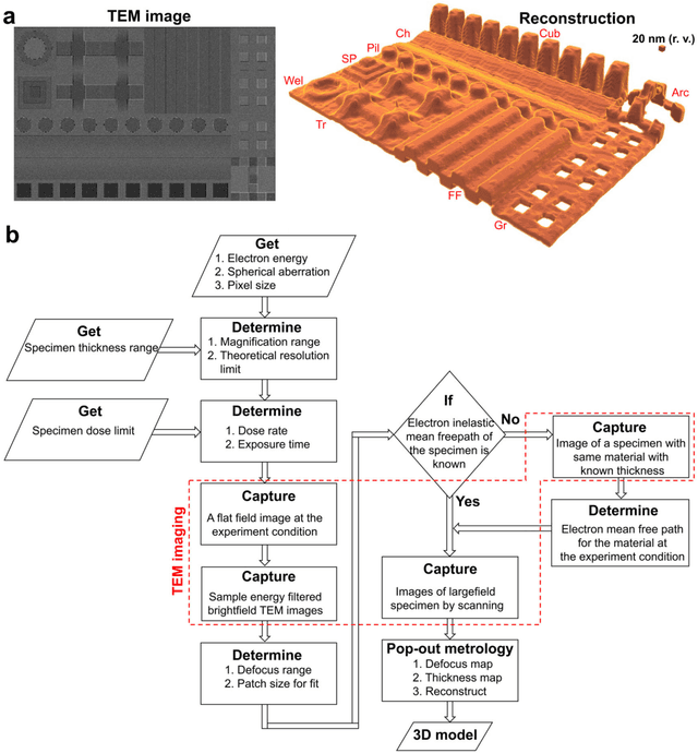 Figure 3 for Single-shot pop-out 3D metrology of thin specimens with TEM