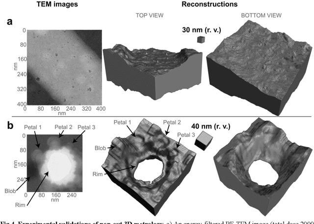 Figure 4 for Single-shot pop-out 3D metrology of thin specimens with TEM